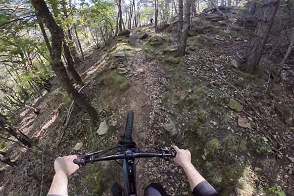 Ruta bicicleta Bosc de Virós | Maitantbikes